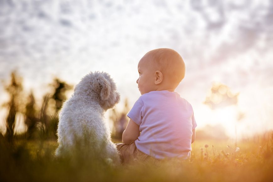 Children and Pets: The Benefits of Growing Up With Them Children and Pets: The Benefits of Growing Up With Them
