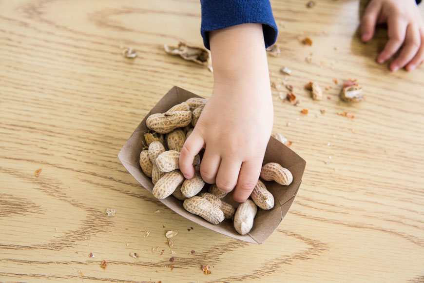 Peanut Allergies in Children: Important Advice for Parents Peanut Allergies in Children: Important Advice for Parents