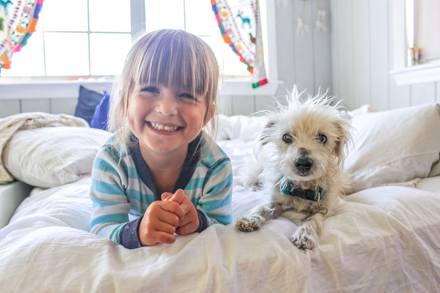 How To Help Your Child Cope With Pet Loss How To Help Your Child Cope With Pet Loss